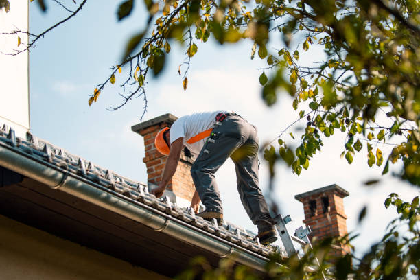 Best Roof Waterproofing Services  in Inglenook, CT